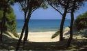 Salento