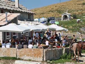 malga lessinia estate 2